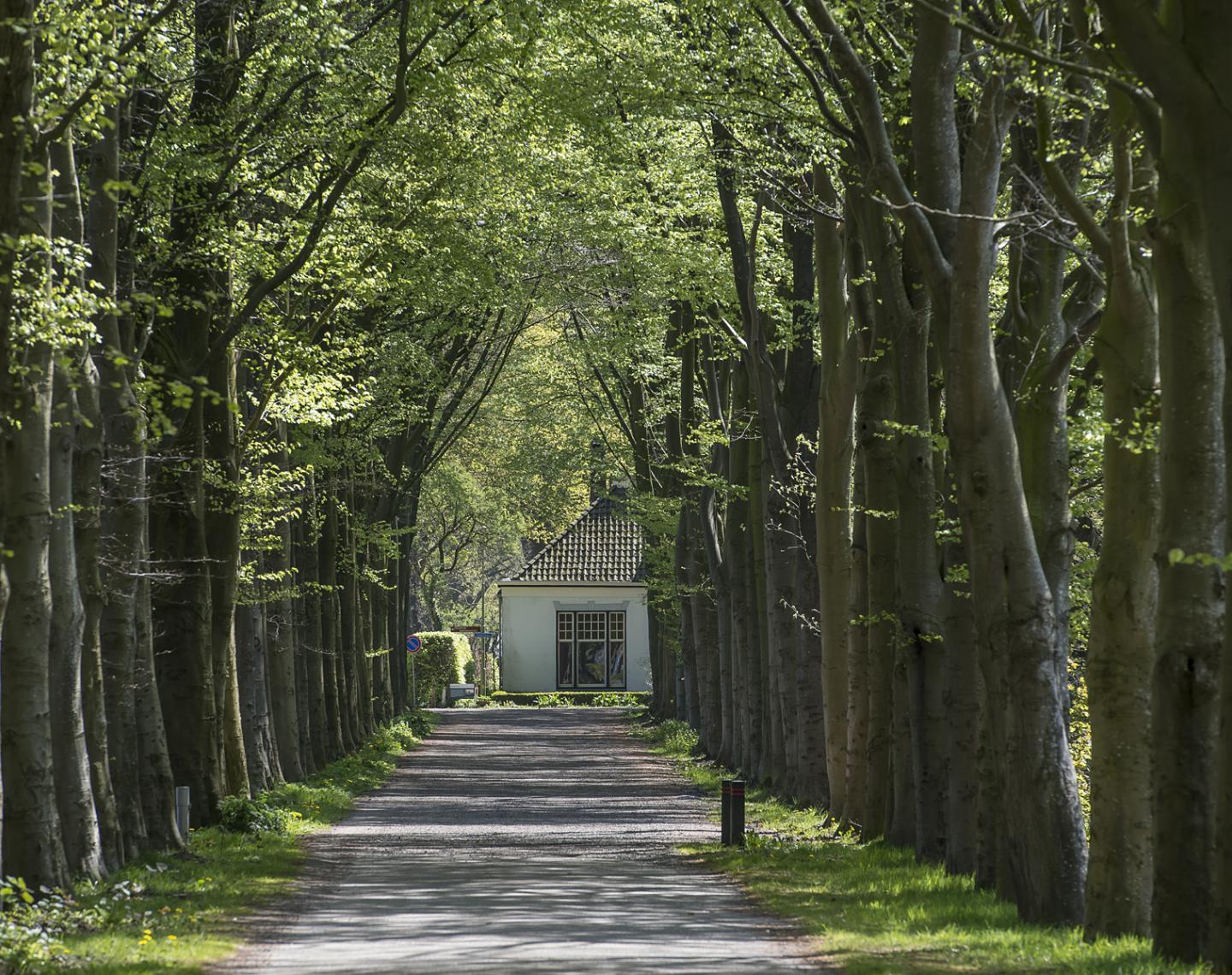 Frederiksoord;Nederland;2016;James van Leuven;natuur
