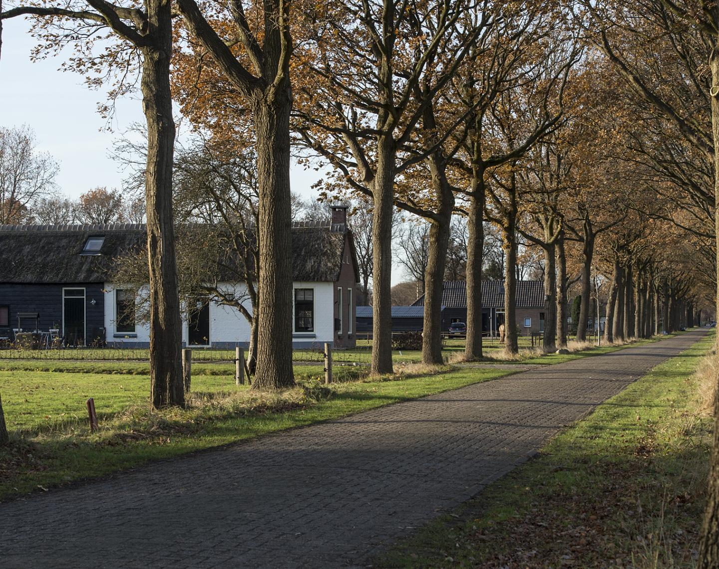 foto van bomen en een huis koloniën van weldadigheid