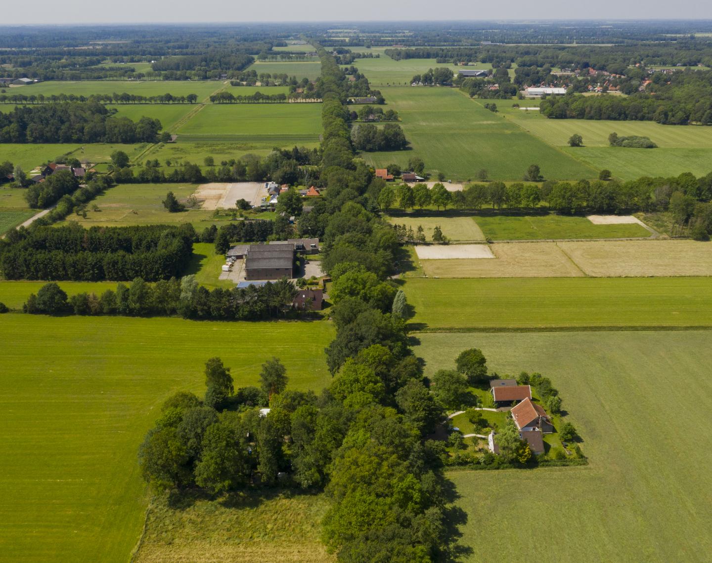 Luchtfoto van het landschap (Frederiksoord-Wilhelminaoord), fotograaf: Miranda Drenth